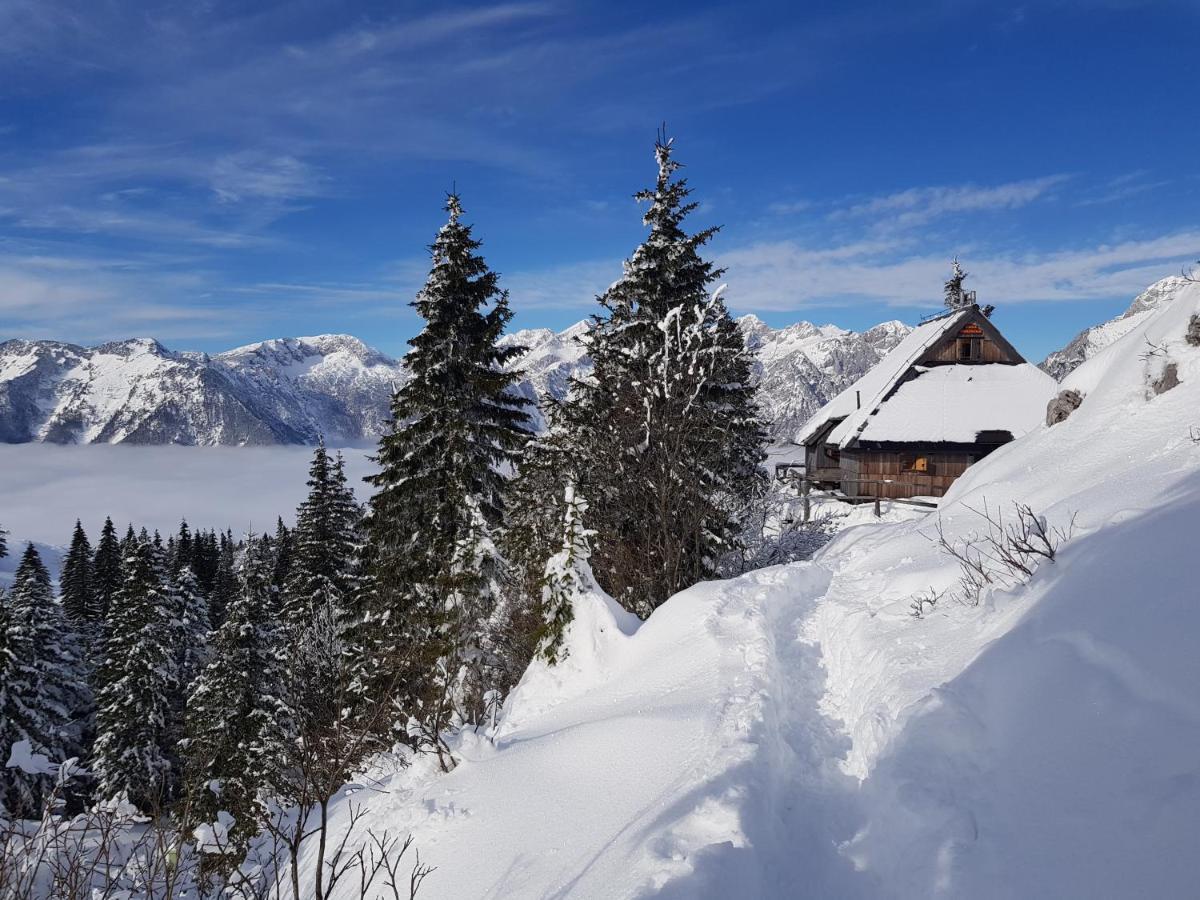Chalet Gorenjka - Velika Planina Stahovica Exterior photo