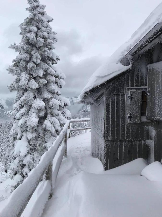Chalet Gorenjka - Velika Planina Stahovica Exterior photo